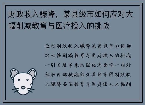 财政收入骤降，某县级市如何应对大幅削减教育与医疗投入的挑战